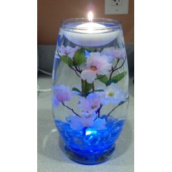 Capturando la Felicidad