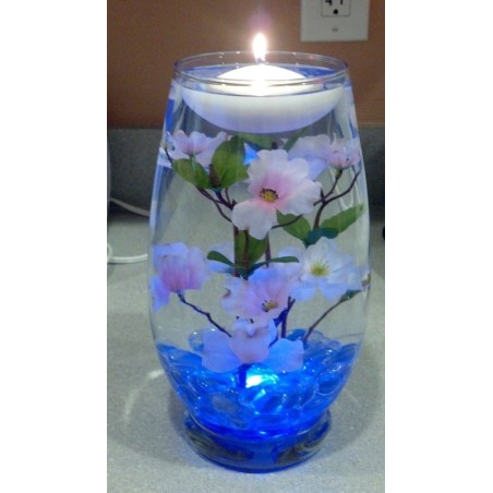 Capturando la Felicidad