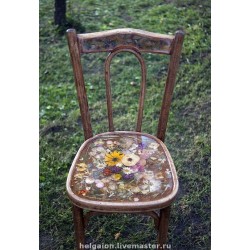 Naturaleza en tu hogar