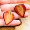 Aretes  de fresas